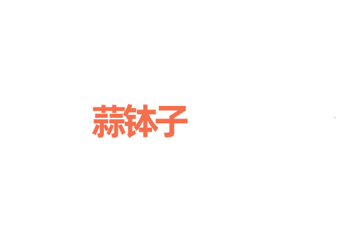 蒜钵子