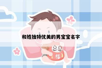 和姓独特优美的男宝宝名字