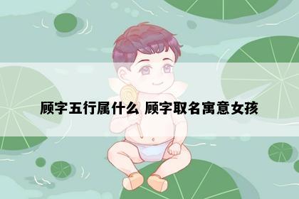 顾字五行属什么 顾字取名寓意女孩